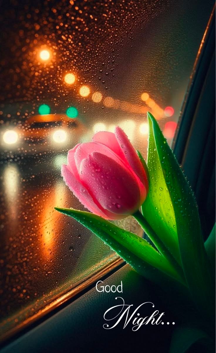 Simple cute cute good night images (15)