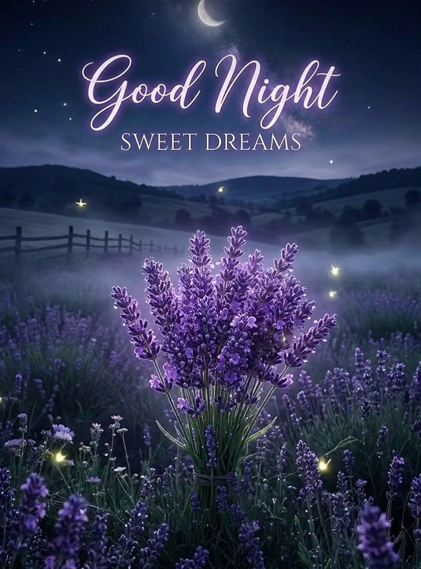 Simple cute cute good night images (9)