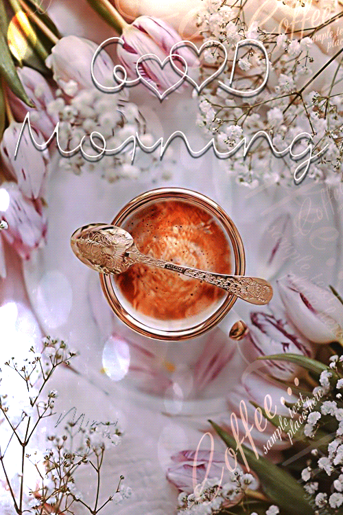 Special Good Morning Gif Cute And Beautiful