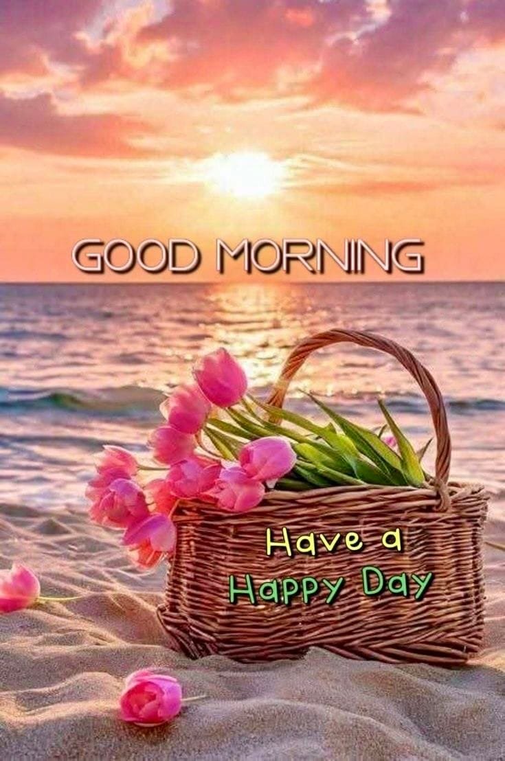 Special good morning images (13)