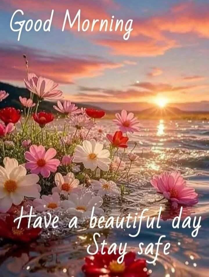 Special good morning wishes (12)