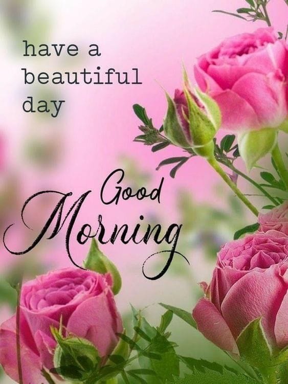 Special good morning wishes (23)