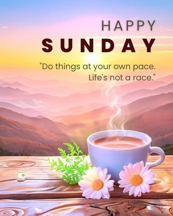 Sunday vibes quotes