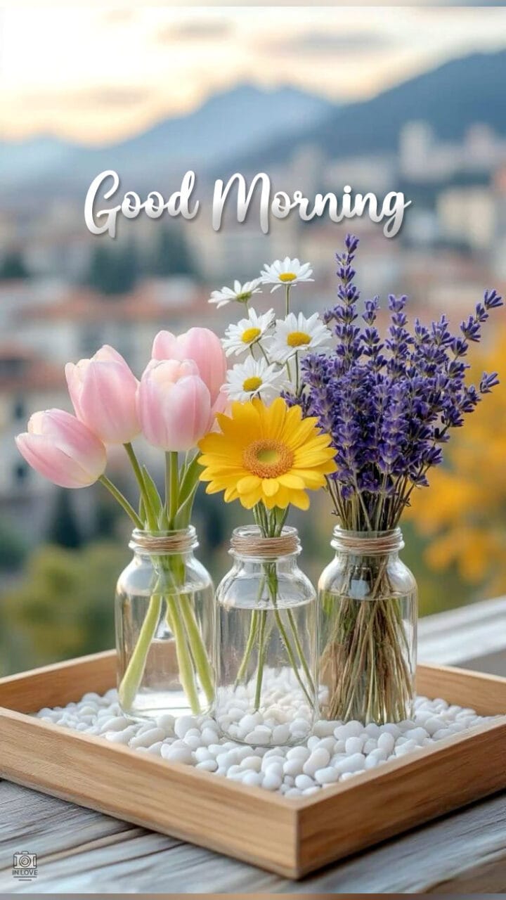 Unique good morning images for whatsapp