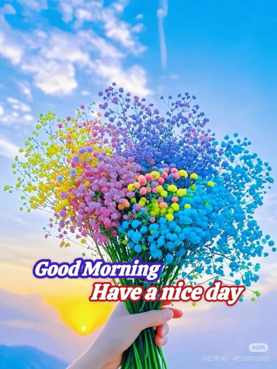 Unique good morning images for whatsapp