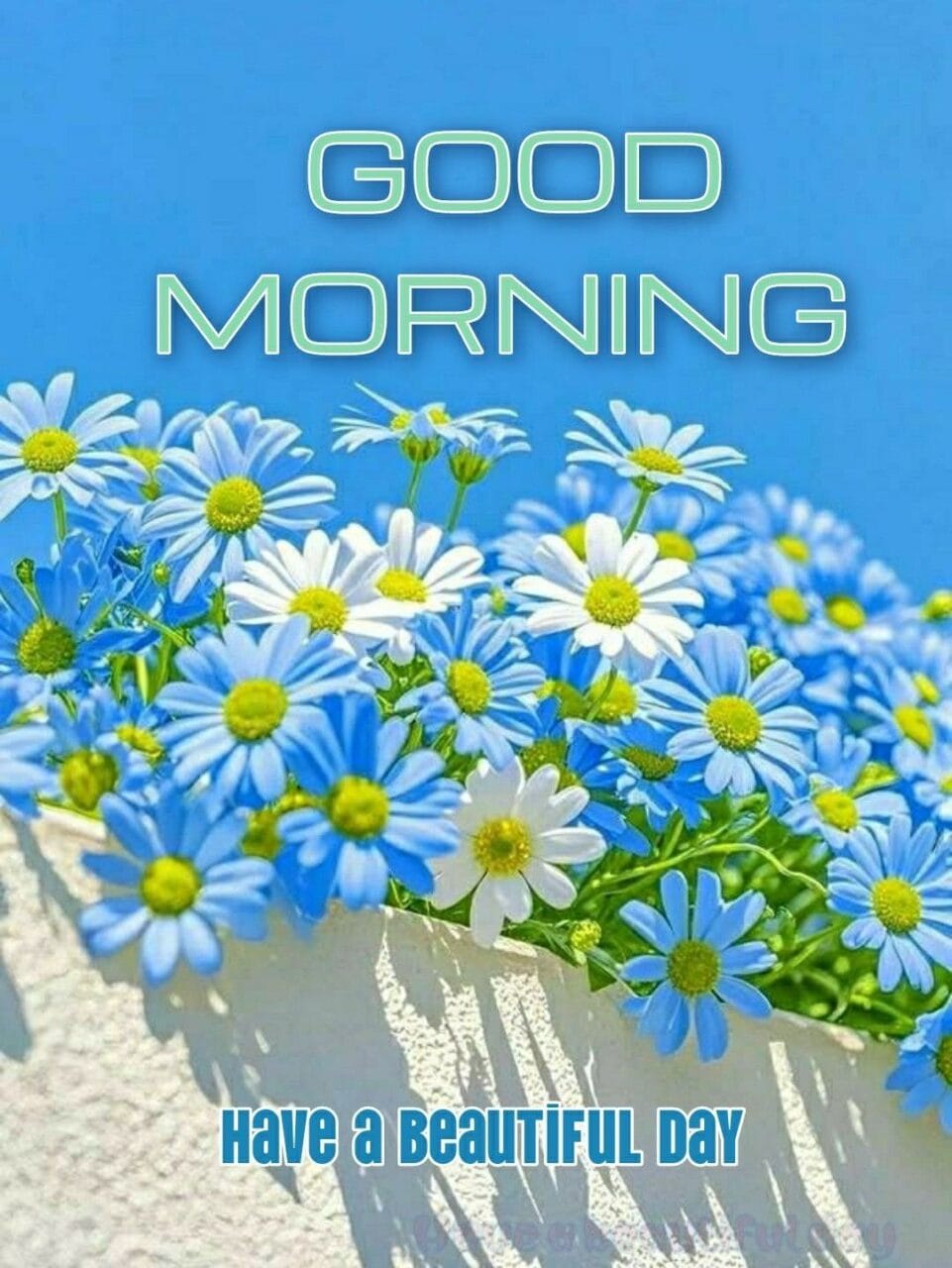 Unique good morning images for whatsapp