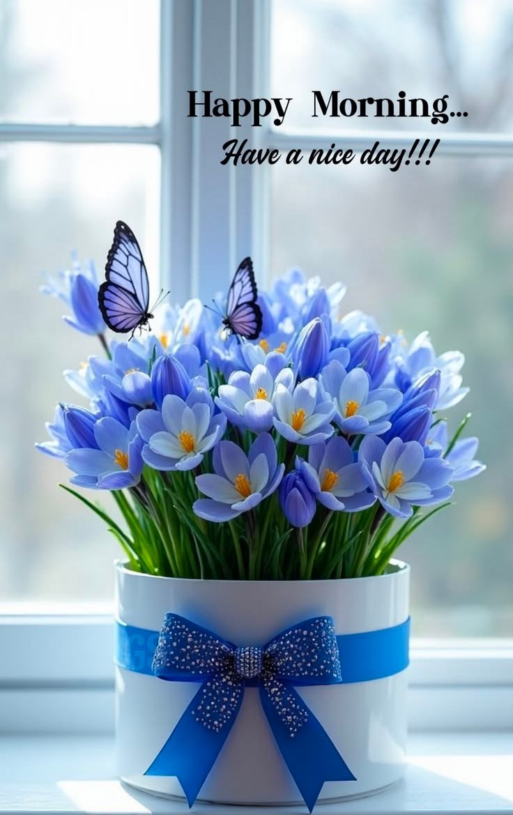 Whatsapp good morning photo (1)
