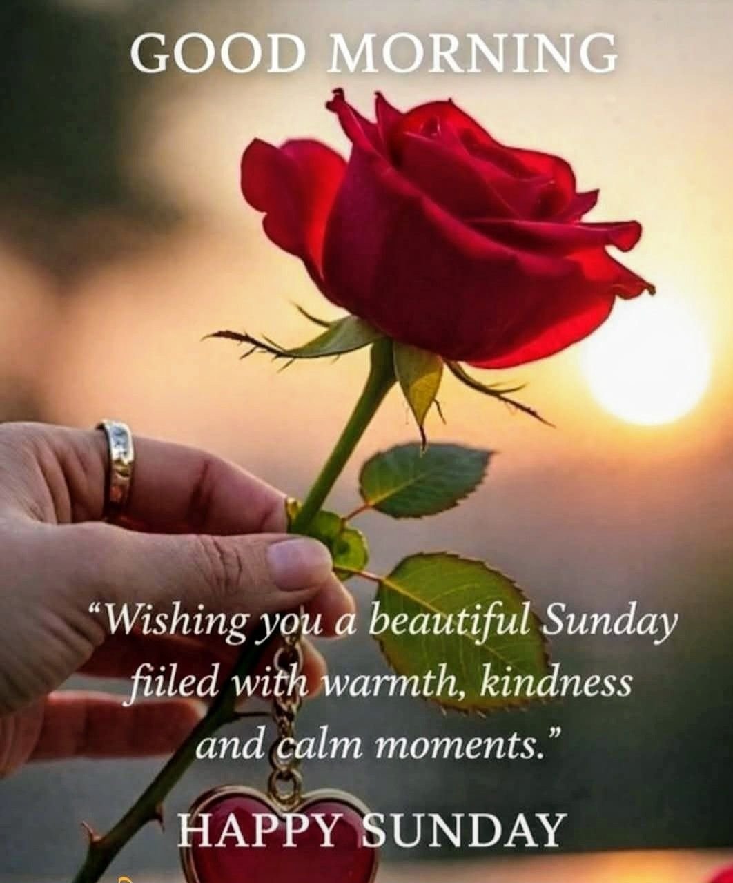 Whatsapp sunday good morning quotes