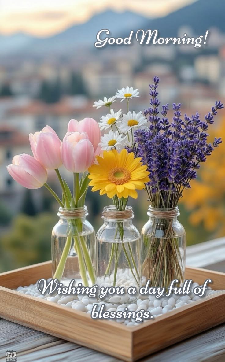 Wishing you a day full of blessings.