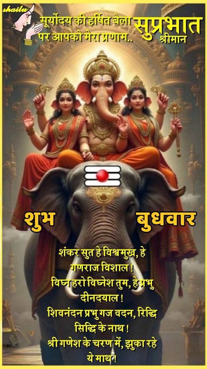 शुभ बुधवार गुड मॉर्निंग इमेज